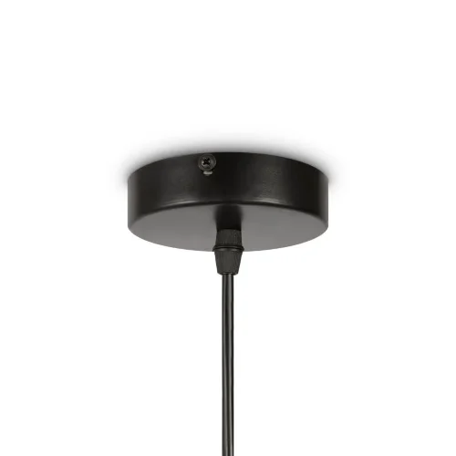 Подвесной светильник Freya FR5249PL-03BG1 (Черный) - фото 3