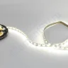 Светодиодная лента Standart class 5050, 60led/m, Day White, 24V, IP20, G151 - фото 2.