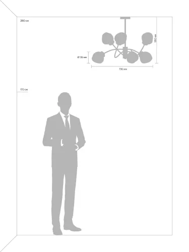 Люстра Волани / Volani (Матовое Золото) FR8017PL-06MG - фото 9