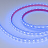 Светодиодная лента герметичная RTW-PFS-B60-13mm 12V Blue (14.4 W/m, IP68, 5060, 5m) (Arlight, 14.4 Вт/м, IP68) 036280 - фото