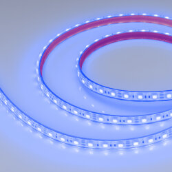 Светодиодная лента герметичная RTW-PFS-В60-13mm 12V Blue (14.4 W/m, IP68, 5060, 5m) (Arlight, 14.4 Вт/м, IP68) 036280