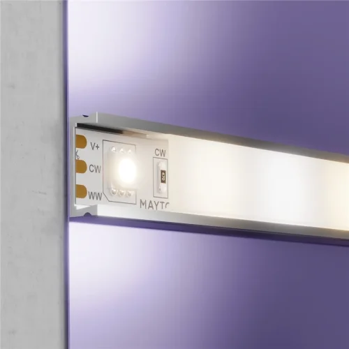 Светодиодная лента 24В 5050 14,4Вт/м Комбинированная (MIх) 5м IP20 (Белый) 20042 - фото 3