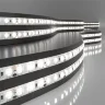 Светодиодная лента 12 В 9,6 Вт/м 120 Led/м 2835 IP65, дневной белый 4200K, 5 м Лента светодиодная 12V 9,6W 120Led 2835 IP65 дневной белый, 5м - фото