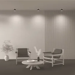 Потолочный светильник Planet 4000K 1x12Вт 90° (Черный)