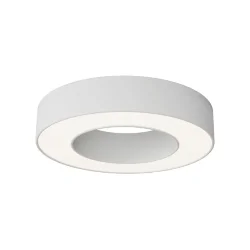 Потолочный светильники Lua 4000К 24Вт 120° (Белый)