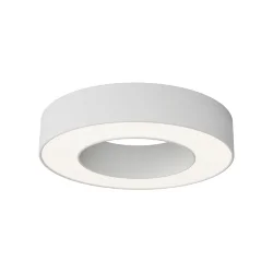 Потолочный светильник Луа / Lua 24 Вт 4000 К 120° (Белый) C093CL-24W4K-W