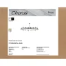 Люстра FR5570PL-24B Сhorus G9x24 (Черный) FR5570PL-24B - фото 4