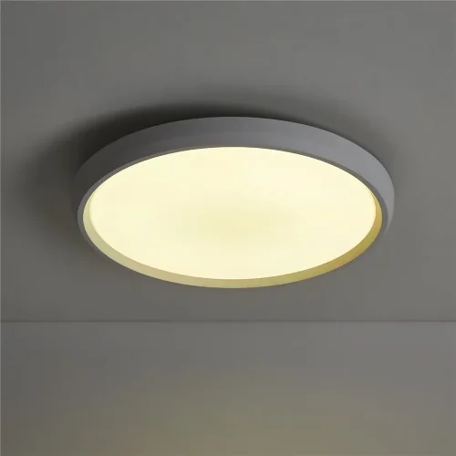 умный Потолочный светильник FR6211CL-L24W Обель / Obelle 24 Вт LED (Белый) FR6211CL-L24W - фото 16