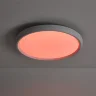 умный Потолочный светильник FR6211CL-L24W Обель / Obelle 24 Вт LED (Белый) FR6211CL-L24W - фото 17