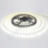 Светодиодная лента Standart PRO class, 5630, 60led/m, white,12V, IP65 - фото.