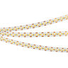 Светодиодная лента RT-А168-10mm 24V Warm3500-СХ2 (17.3 W/m, IP20, 2835, 5m) (Arlight, резка 2 светодиода) 028737(2) - фото 2