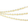 Светодиодная лента RT-А252-10mm 24V Warm3500 (11 W/m, IP20, 2835, 5m) (Arlight, Открытый) 028619(2) - фото 2