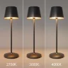 Аккумуляторный светильник Уголок / Nook 2700-4000К 1Вт (Черный) MOD494RL-L1BK - фото 6