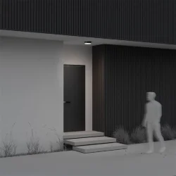 Потолочный светильник Zon IP 4000 30Вт IP 65 (Черный)